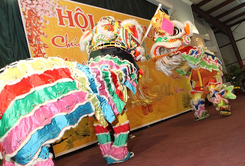 The tradition of the lion dance was imported from China, but it is often performed during the Vietnamese New Year festival. Photo By Michael Alexander