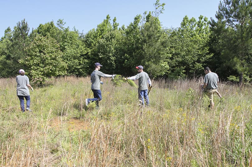 Seminarian Colin Patrick, right center, hands a piece of brush he cut to fellow seminarian Brandon Scherff. One of the jobs during the May 16 seminarian workday was to clear some of the brush from around the burial plots. Photo By Michael Alexander