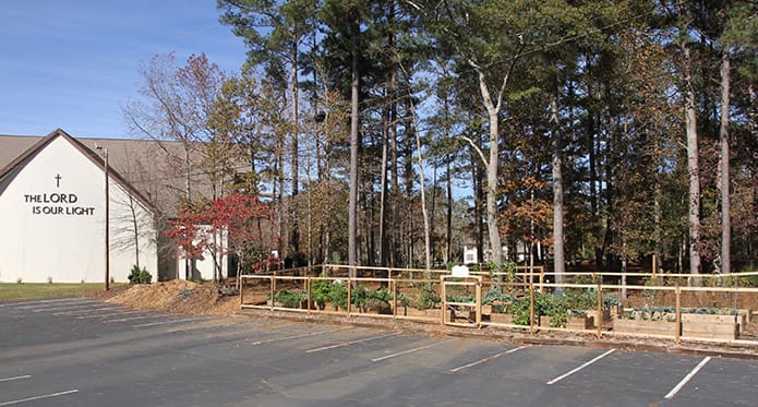 The community garden at St. Pius X Church, Conyers, was started in March 2015. Community gardens are one of the ideas proposed in the “Laudato Si’ Action Plan” released by the Archdiocese of Atlanta in 2015. Photo By Michael Alexander