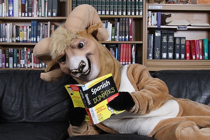 The Monsignor Donovan High School Ram mascot, Brooks Maxwell, brushes up on some Spanish in the school’s media center in Athens. Photo By Michael Alexander