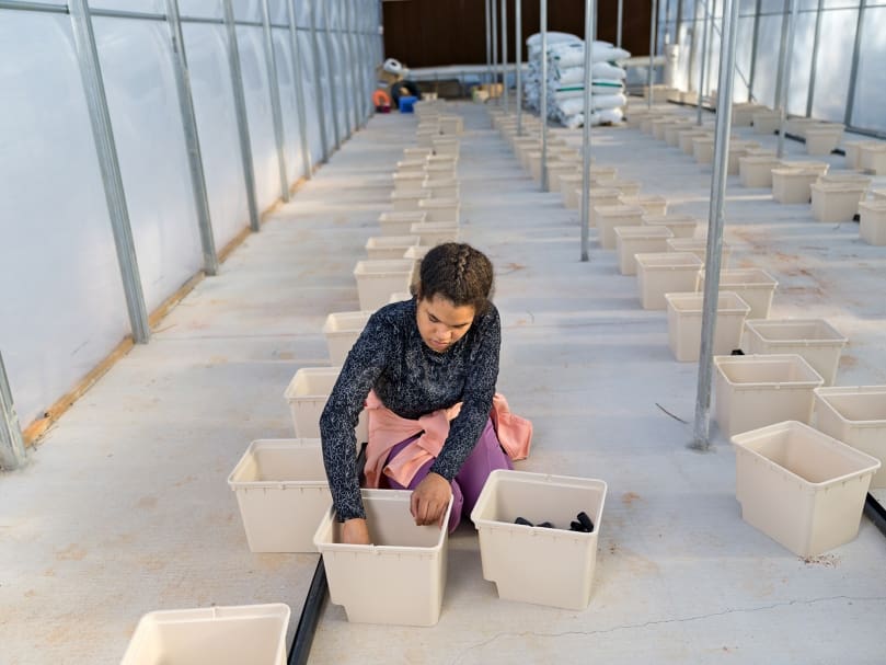 Sophia Larrier prepares the greenhouse for more crops during a morning of work at Peachtree Farm. Photo by Johnathon Kelso