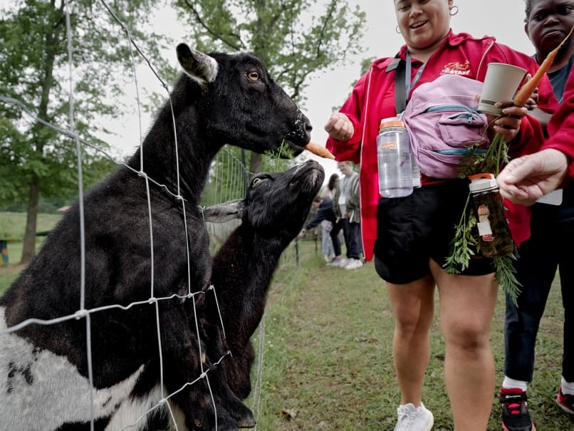 Toni's Camp core member Leslie Pinon and camper KeKe Manning feed goats during a day of activities. The camp is for those with disabilities and gives their family members a time of respite. Photo by Johnathon Kelso