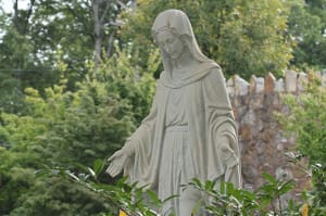 Photo By Michael Alexander