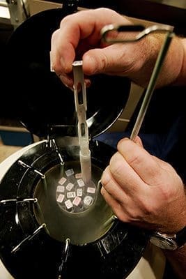 An embryologist removes frozen embryos from a storage tank at the Smotrich IVF Clinic in La Jolla, Calif., in this 2007 file photo. CNS photo/Sandy Huffaker