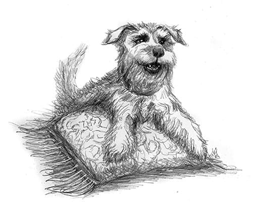 2015 06 25 GB MURRAY When it comes to family vacations, expect the unexpected