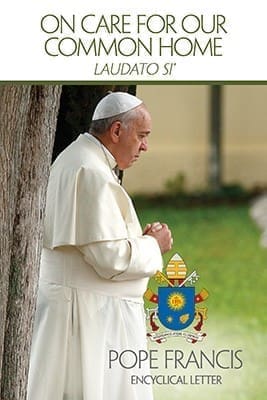 This is the cover of the English edition of Pope Francis' encyclical on the environment, "Laudato Si', on Care for Our Common Home." CNS photo/courtesy U.S. Conference of Catholic Bishops