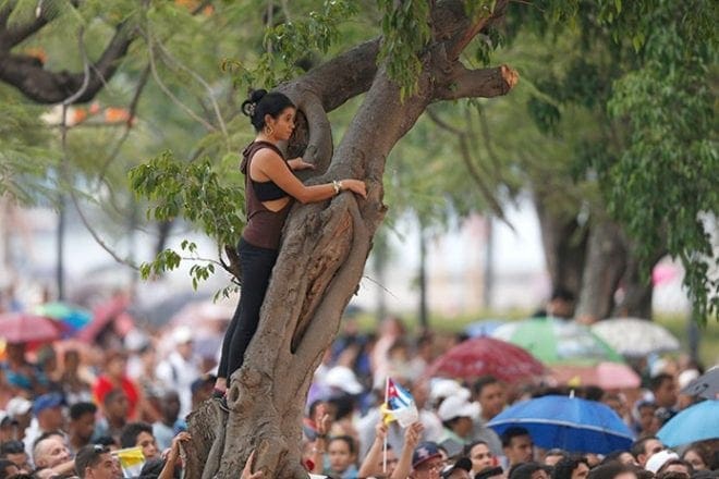 A young woman watches from a tree as she waits for Pope Francis to arrive for a meeting with young people at the Father Felix Varela cultural center in Havana Sept. 20. CNS Photo/Paul Haring 